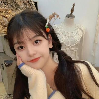 罗伯特·唐尼：自成一格